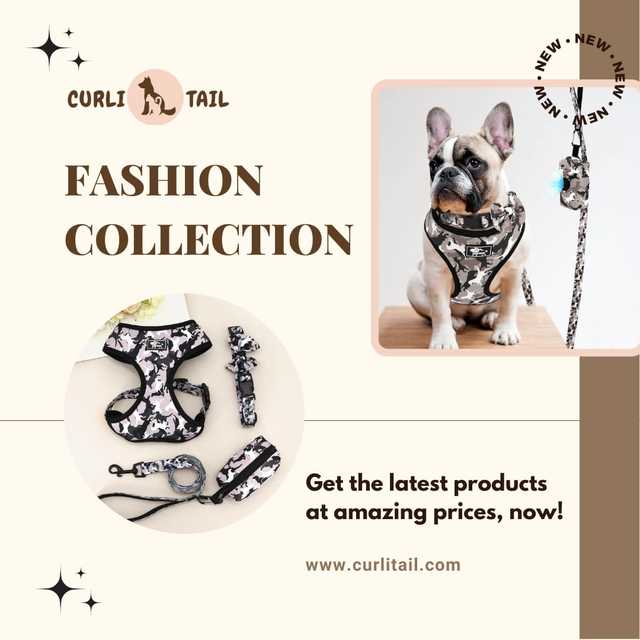 Elegant dog harness and leash sets at CurliTail |  CurliTail