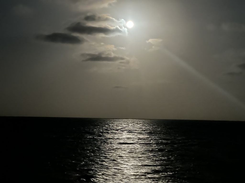 59864A74-6D21-4E94-8AC3-89B710C48680 - 13 07 02