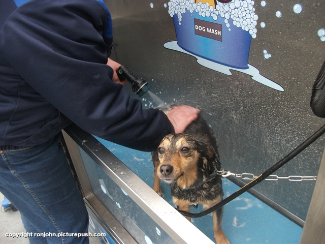 Dolly Dogwash 11-02-23 3 Various Outdoors from 2002 to present
