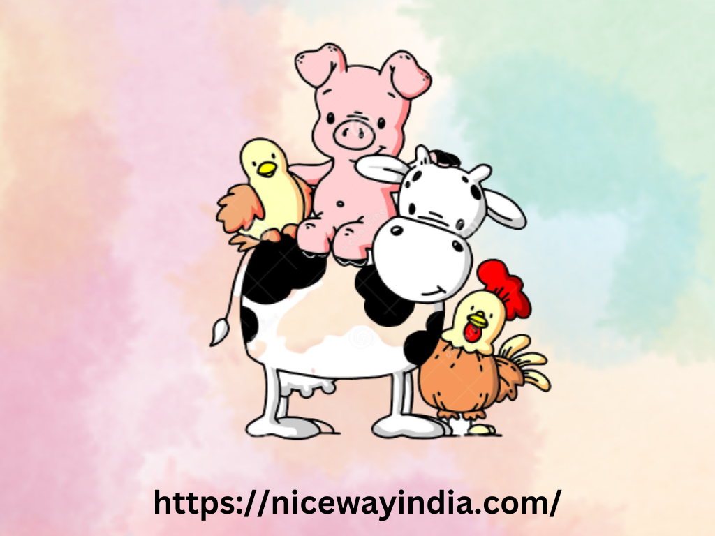 httpsnicewayindia.com Picture Box