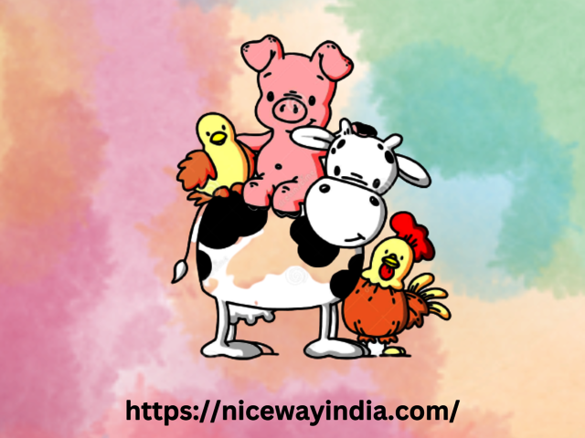 httpsnicewayindia.com Picture Box
