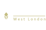 Psychotherapy-west-london8cdf2356d3a28fbf Picture Box