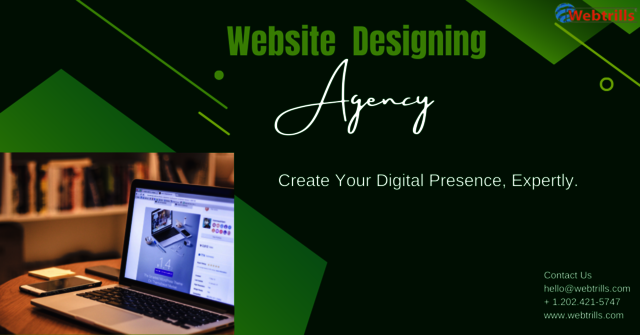 Website Designing Agency Picture Box