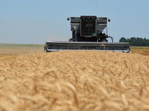 seed-treatments Picture Box