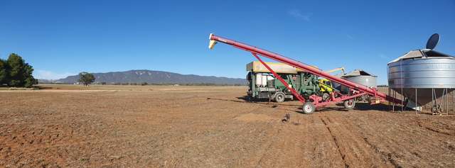 seed-cleaning Picture Box