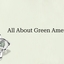Green Amethyst: Physical, E... - Green Amethyst: Physical, Emotional and Metaphysical Benefits