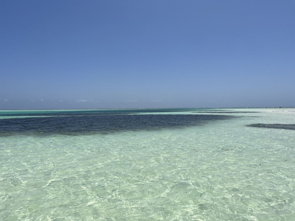 0B36E9B7-7E4B-4241-BA19-9C820D376FF8 - 13 07 02