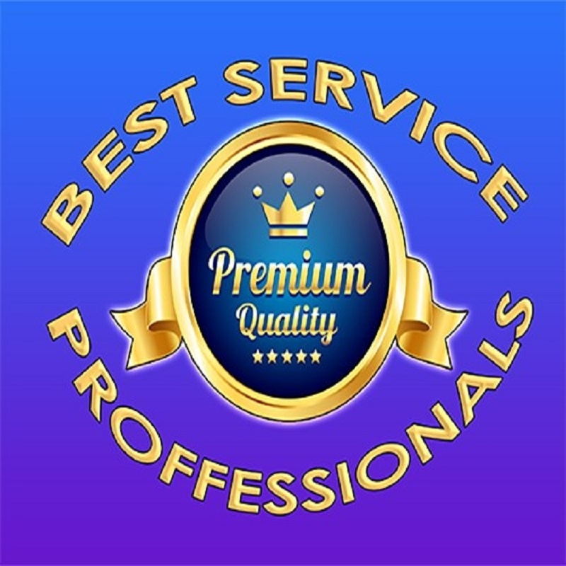 Logo Best Service Professionals