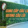 Cung cap cac loaÌ£i guong c... - Thietbithinhphat