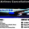 United Airlines Cancellatio... - Picture Box