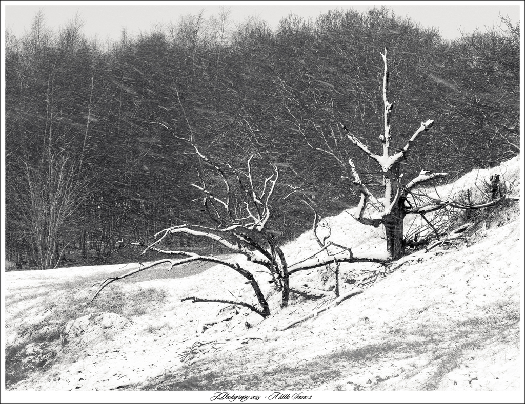  DSC5190 bewWSK A little snow 2 B en W - 