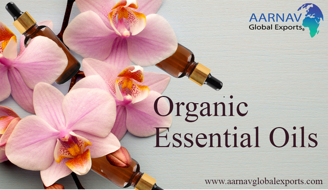 Facts about Pure Organic Essential Oils Online Aarnav Global Exports