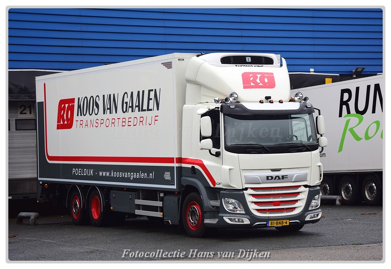 Gaalen van Koos 81-BNB-4(1)-BorderMaker - 