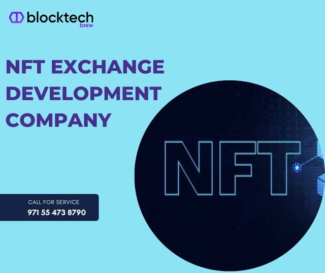 NFT Exchange Development Company - Block Tech Brew Picture Box