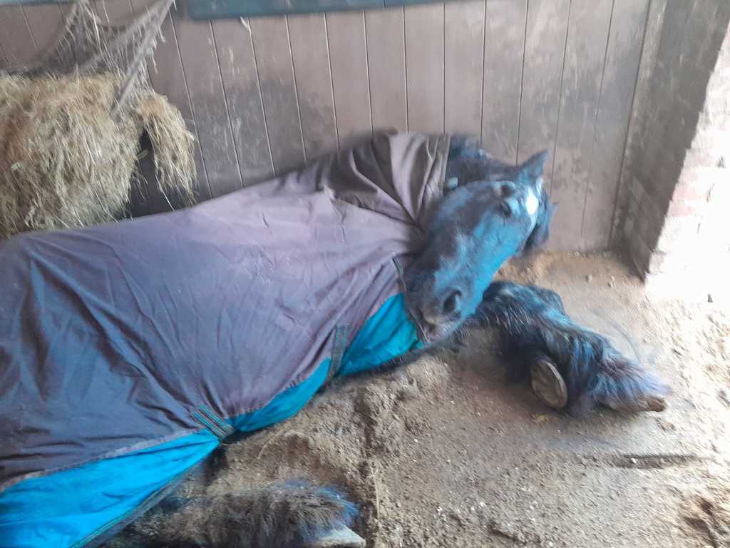 WhatsApp Image 2023-03-15 at 9.51.01 AM - 