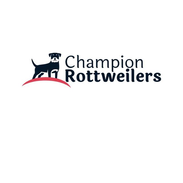 Champion Rottweilers Champion Rottweilers