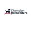 Champion Rottweilers - Champion Rottweilers