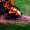 Stump Grinding New Jersey