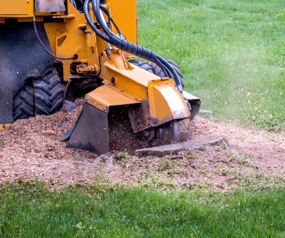 Stump Grinding New Jersey Stump Grinding New Jersey