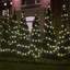 Christmas lights installati... - Picture Box