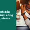 tinh-dau-giam-cang-thang-10... - iCHARM Viá»‡t Nam