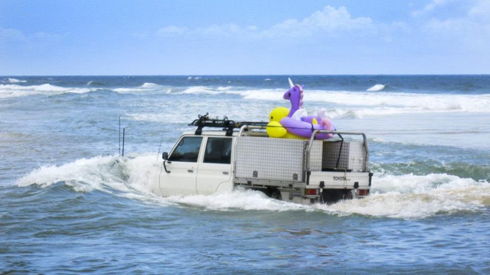 26166312 1416768928434480 4428570378602376709 n - 