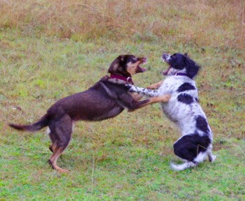 2012 04 28 0003 edited-1 - 