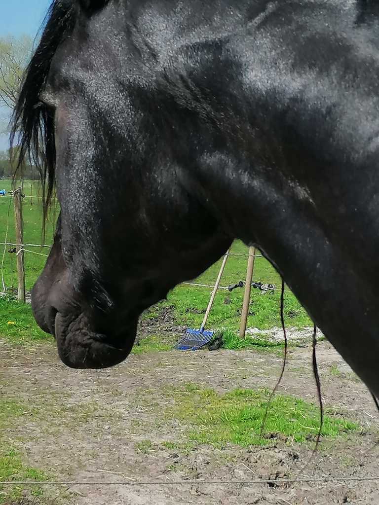 WhatsApp Image 2022-04-23 at 12.47.14 PM - wond wessel