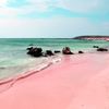 Discovering the Enchanting Beauty of the Pink Beach in Italy