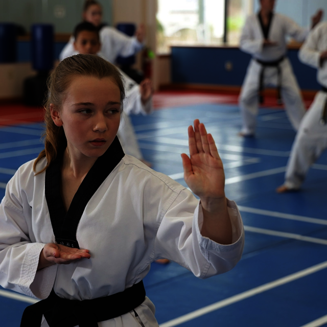 taekwondo training center Master Robertsâ€™ World Class Taekwondo