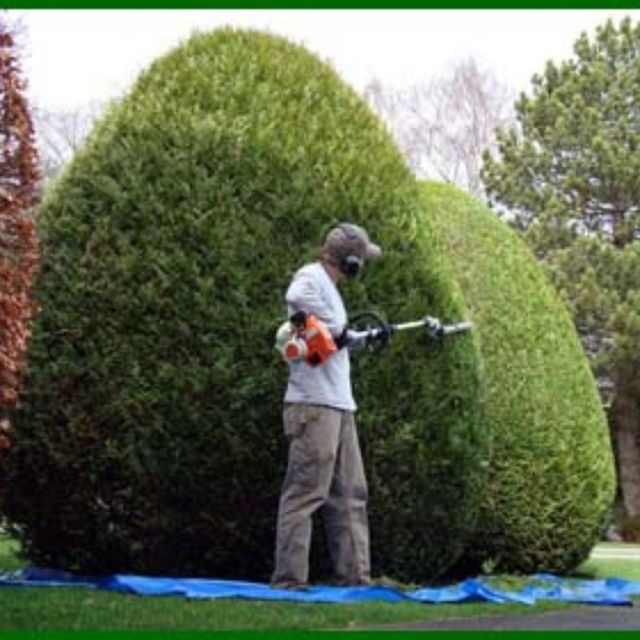 Untitled design Professional Residential Landscape Maintenance - Gaia Landscaping