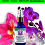 Shanti Kai â€” Empower-Hono... - Shanti Kai Hawaiian Essences