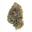 Hawaiian-Snow-Marijuana-Str... - EU Weed Farm