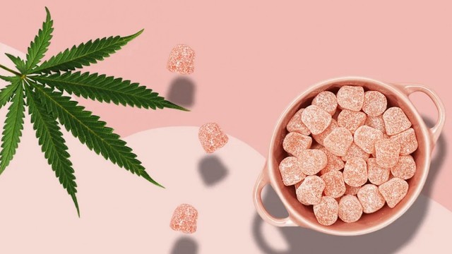 IMAGE 1672387961 Does Animale CBD Gummies Safe To Use?