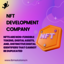 NFT DEVELOPMENT COMPANY (2) - Picture Box