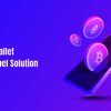 Secure business transactions with the best Crypto Wallet White Label Solution