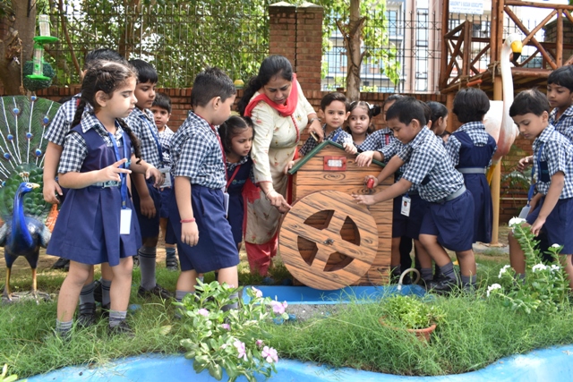Nature Walk Activity at Bal Bharti Dwarka School Picture Box