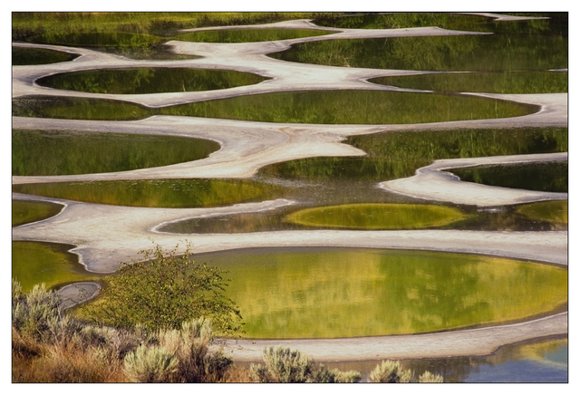 Spotted lake  slide film Film photography