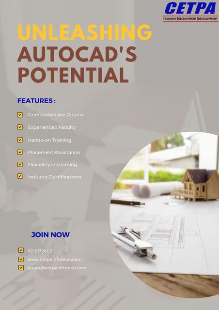 AutoCAD's Potential Picture Box