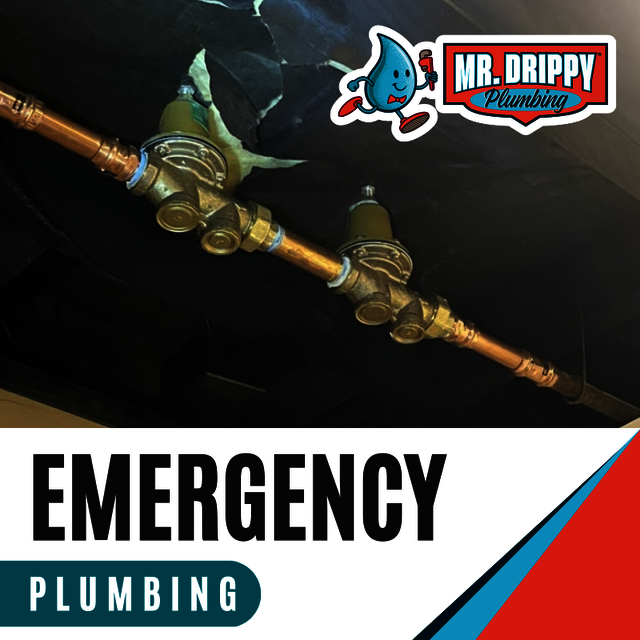 sewer line Mr. Drippy Plumbing