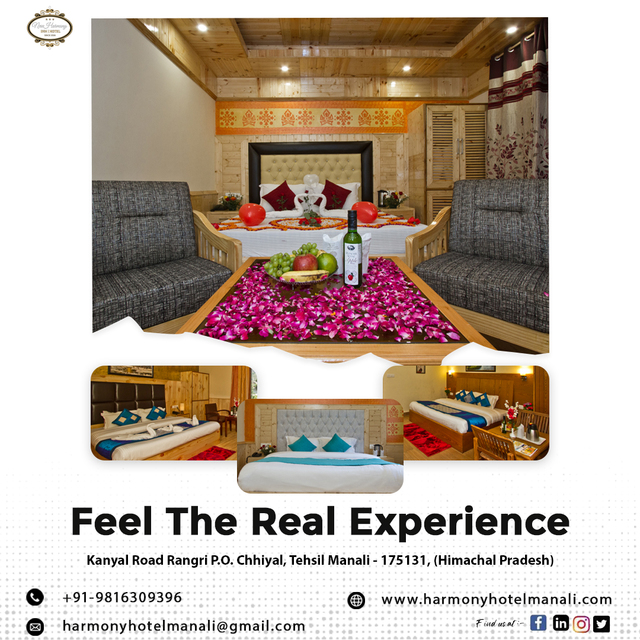 328451899 881639923077182 6149242296596261155 n Honeymoon Suite In Manali