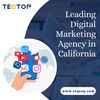 Leading Digital Marketing A... - Picture Box