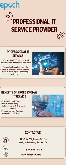 Professional IT Service Provider Picture Box