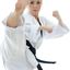 Adult Martial Arts Carlsbad CA - Z-Ultimate Self Defense Studios