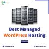 Managed Wordpress