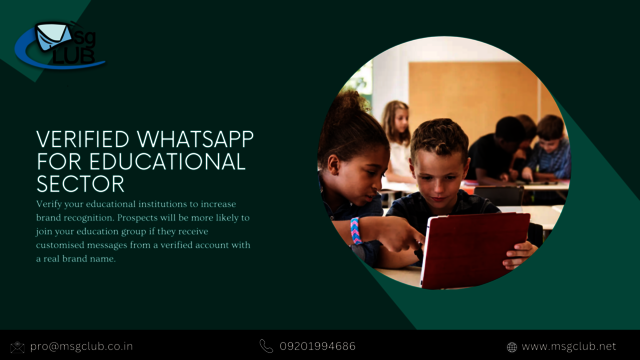 Whatsapp business Picture Box