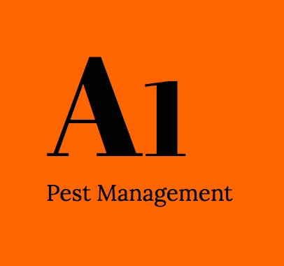 termite pest control North Brisbane Termite Control North Brisbane