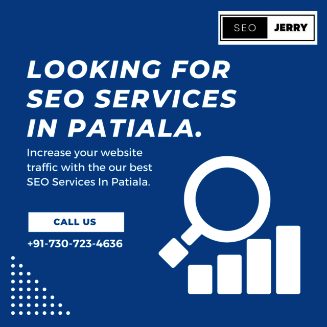 Looking For SEO Services In Patiala. Picture Box
