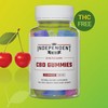 What You Need To Know About Independent CBD Gummies?