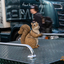 Werrataler Truckfestival, p... - Werrataler Truckfestival, Truck Treffen, Trucker Treffen, Breitungen, Thüringen#truckpicsfamily